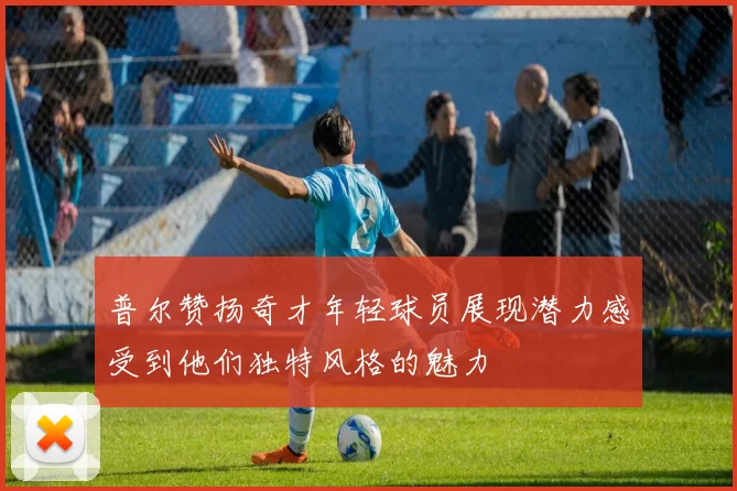 普尔赞扬奇才年轻球员展现潜力感受到他们独特风格的魅力