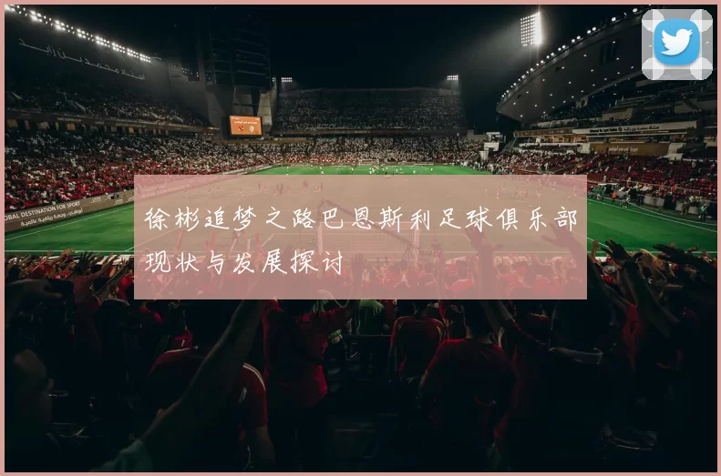 徐彬追梦之路巴恩斯利足球俱乐部现状与发展探讨