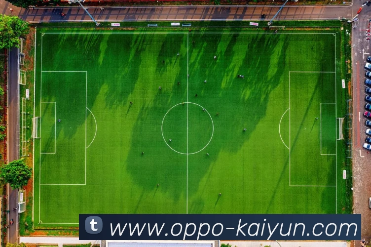 开云体育平台生态图