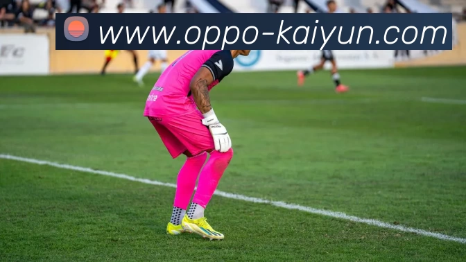 数据防护可视化